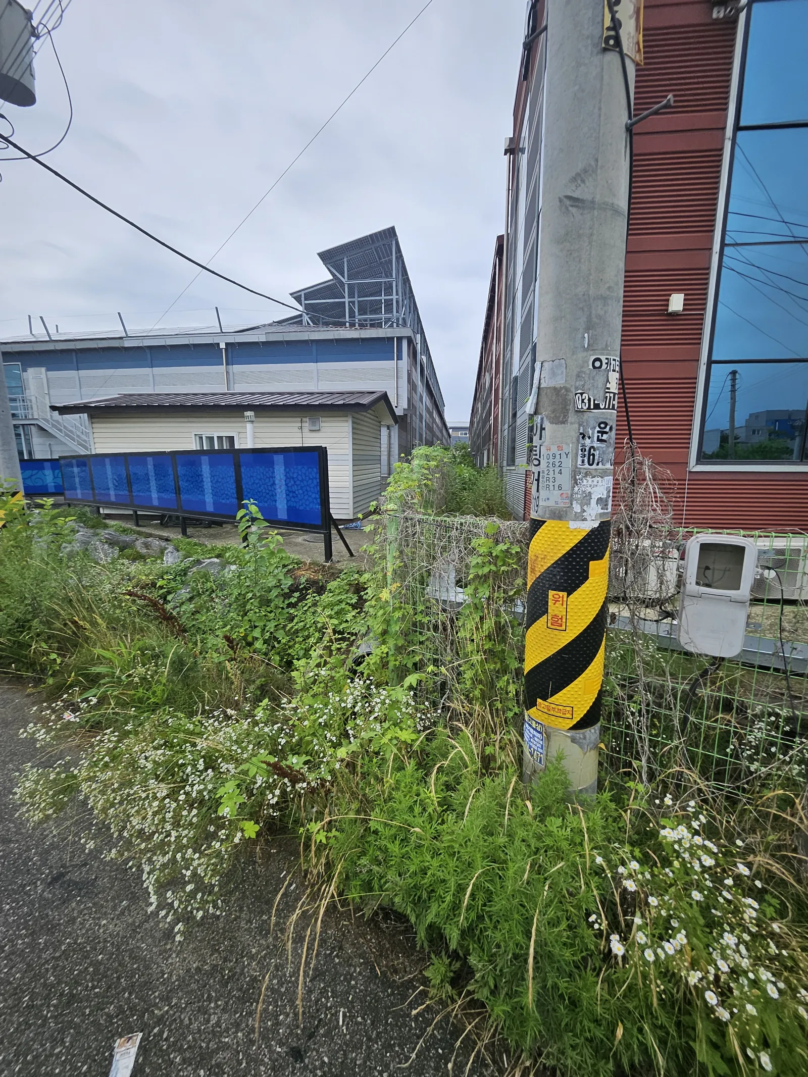 천안 아산 안성 평택 예초대행 벌초작업 전문업체 현장 사진 2