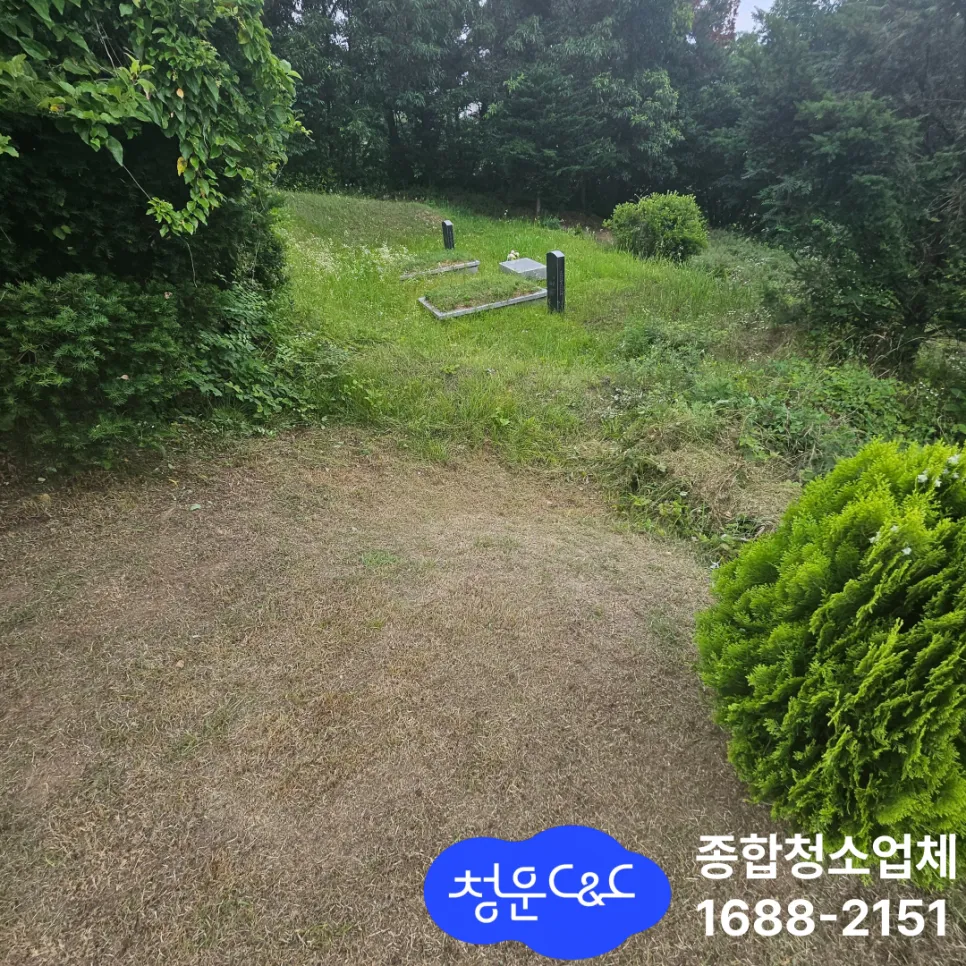 천안 예초작업|여름철 선산 잡초 관리, 그냥 두면 위험합니다 현장 사진 4
