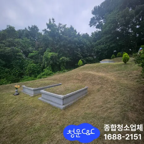 천안 예초작업|여름철 선산 잡초 관리, 그냥 두면 위험합니다 현장 사진