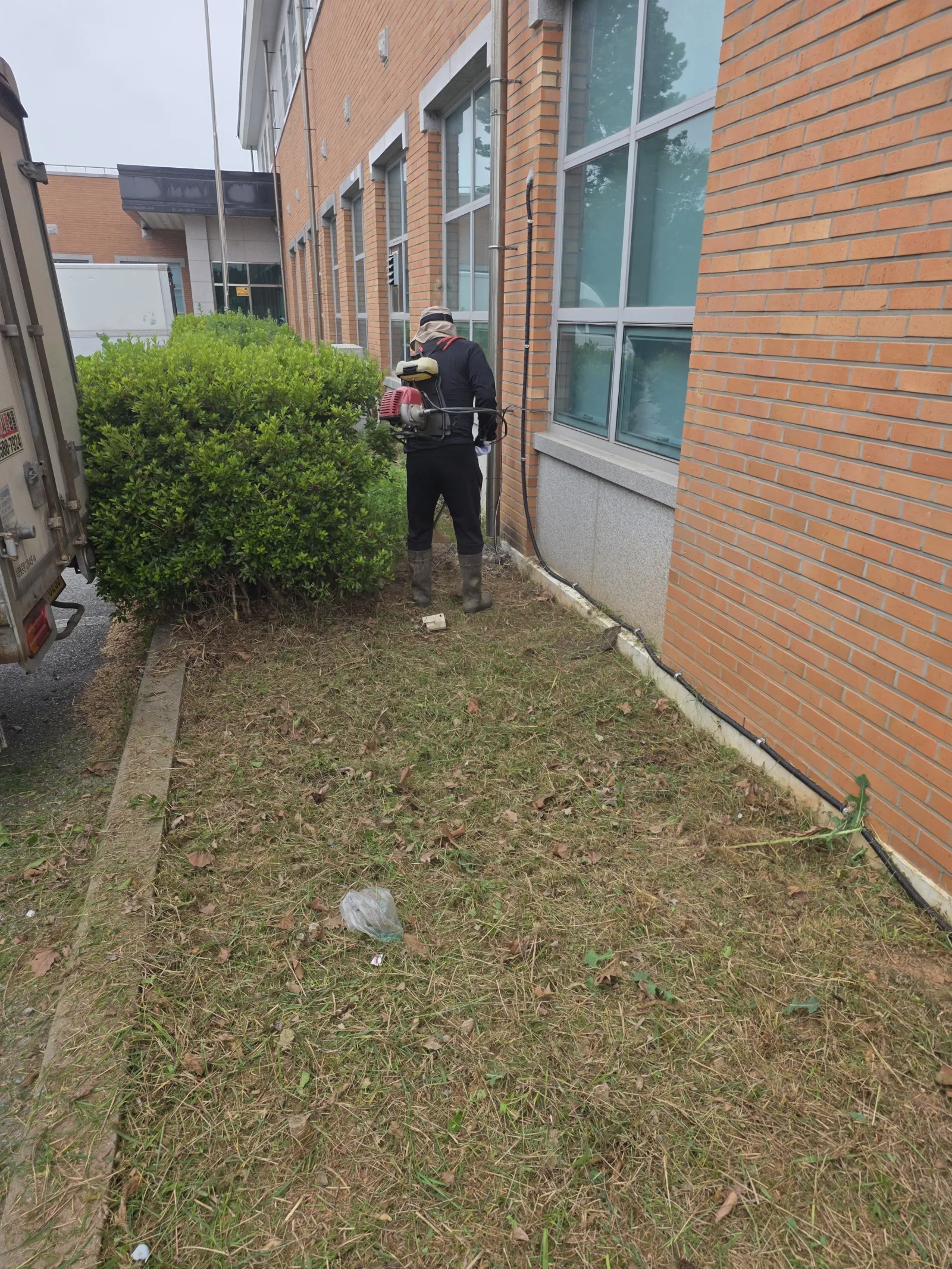 천안 예초작업, 건물 주변 무성한 잡초 정리로 외부 공간 깔끔하게 현장 사진 3