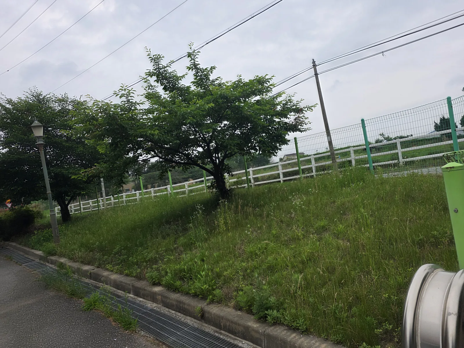 천안 예초작업, 건물 주변 무성한 잡초 정리로 외부 공간 깔끔하게 현장 사진 6