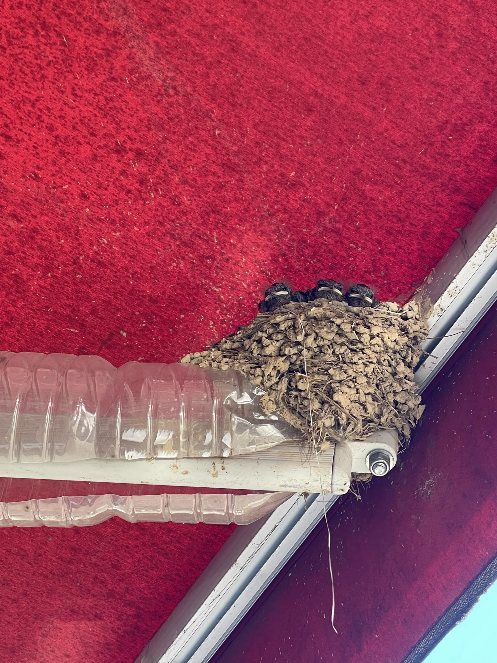 천안 어닝청소, 불당동 상가 천막 얼룩과 외부 오염 관리